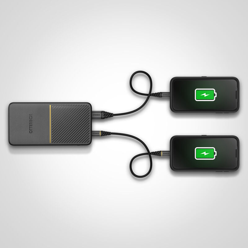 product image 5 - USB-A, USB-C, 15000 mAh Powerbank - Schnelllade